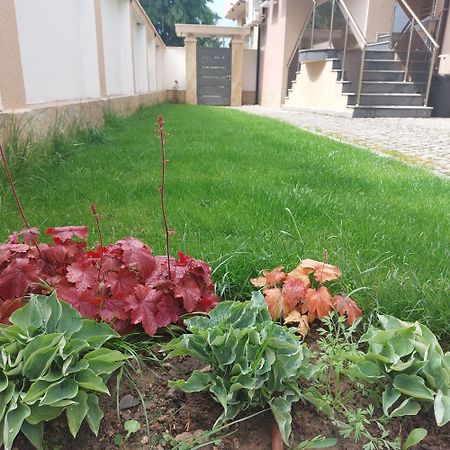 Stella Guesthouse Saparewa Banja Zewnętrze zdjęcie